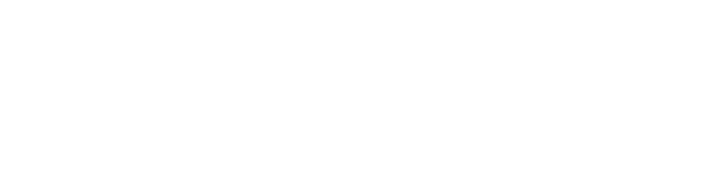 iCruise Logo